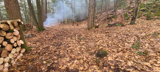 Tribus Primitive Campsite – Friday Night | Off-Road Access Only | Hinsdale, NH